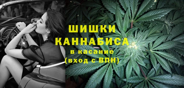 прущие крисы Алзамай