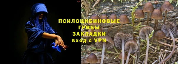 прущие крисы Алзамай